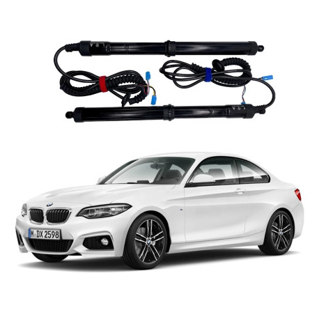 Sistema de apertura portón eléctrico para Bmw series 2