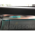 Luz ambiental pasajero para Mercedes CLASE C W205 y GLC x253