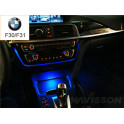 iluminación ambiente BMW Serie 3 F30 / F31/ F32 / F34 / F35 / F36 (2011-2017)
