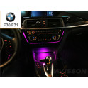 iluminación ambiente BMW Serie 3 F30 / F31/ F32 / F34 / F35 / F36 (2011-2017)