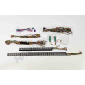 Kit iluminación ambiente BMW serie 5 F10-F11 (2010-2017) 11 colores
