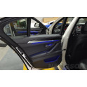 Kit iluminación ambiente BMW serie 5 F10-F11 (2010-2017) 11 colores