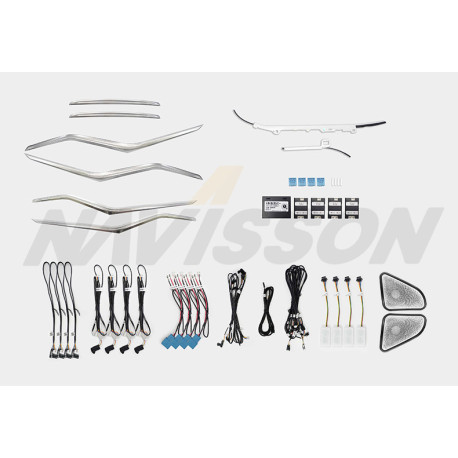 Kit iluminación ambiental BMW serie 3 G20 (+2020) 11 colores