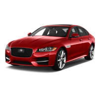 XF