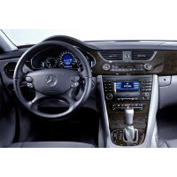 W219 (2004-2010)