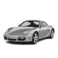 CAYMAN TYPE 987 (2005-2009)