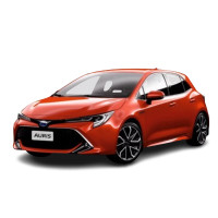 AURIS
